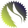 Flywheel Visions icon