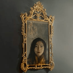The Looking Glass icon